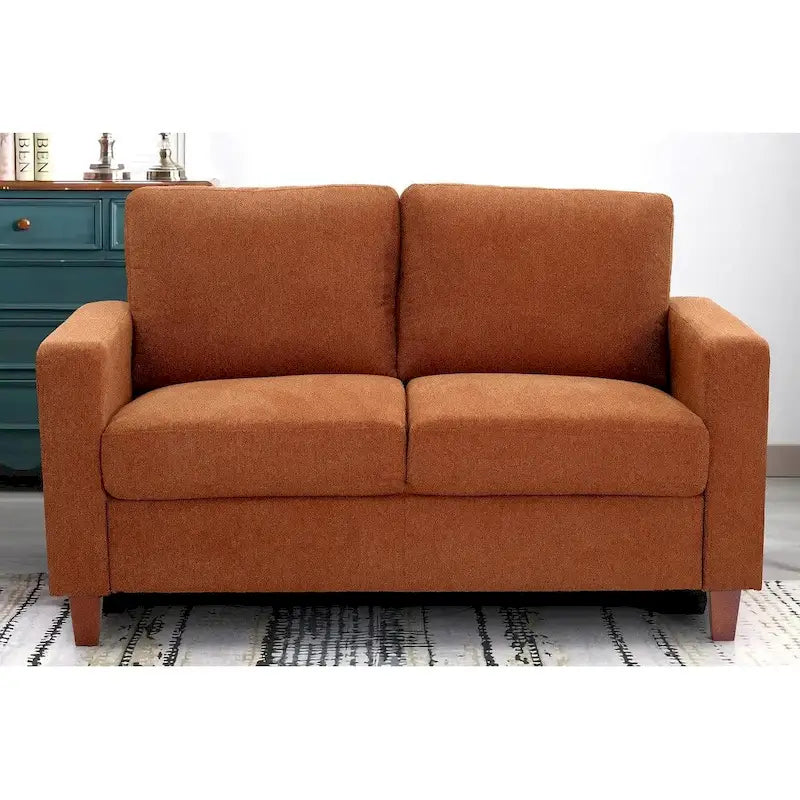 Mid-Century Modern Loveseat with Reversible Back Pillows